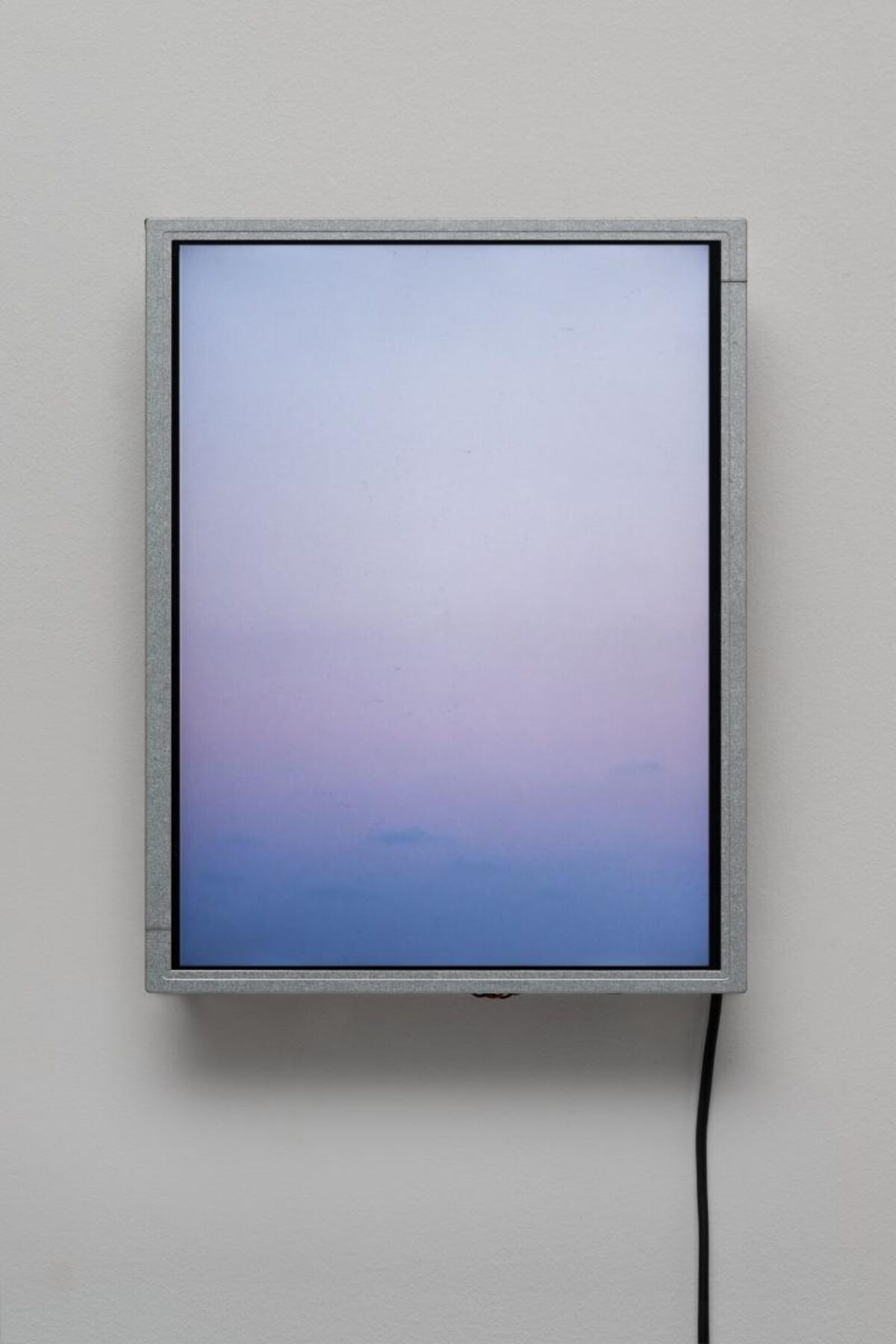 Hannes Rickli, Das Flüstern der Mückenforscher in der Dämmerung, 2001 