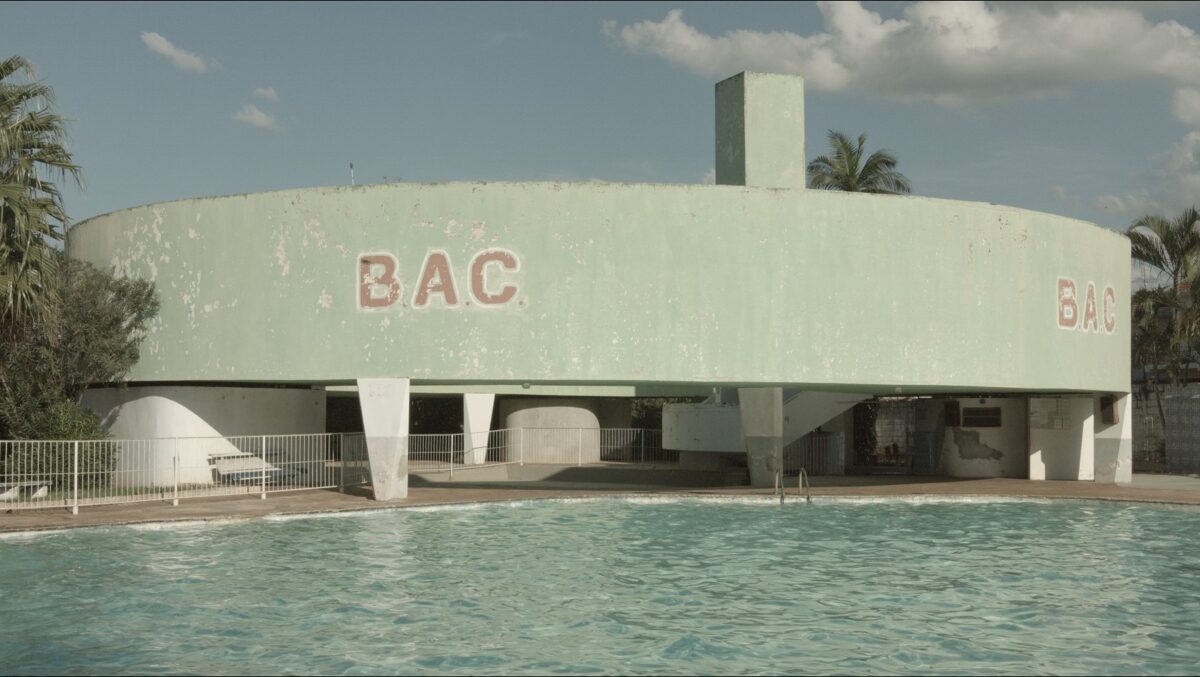 Veronika Spierenburg, False Bird of Paradise, 2018 