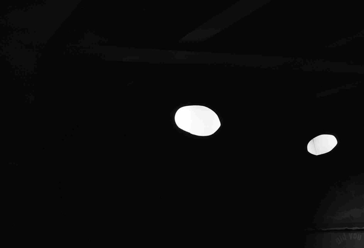 Eva Maria Gisler, did you, 2012 