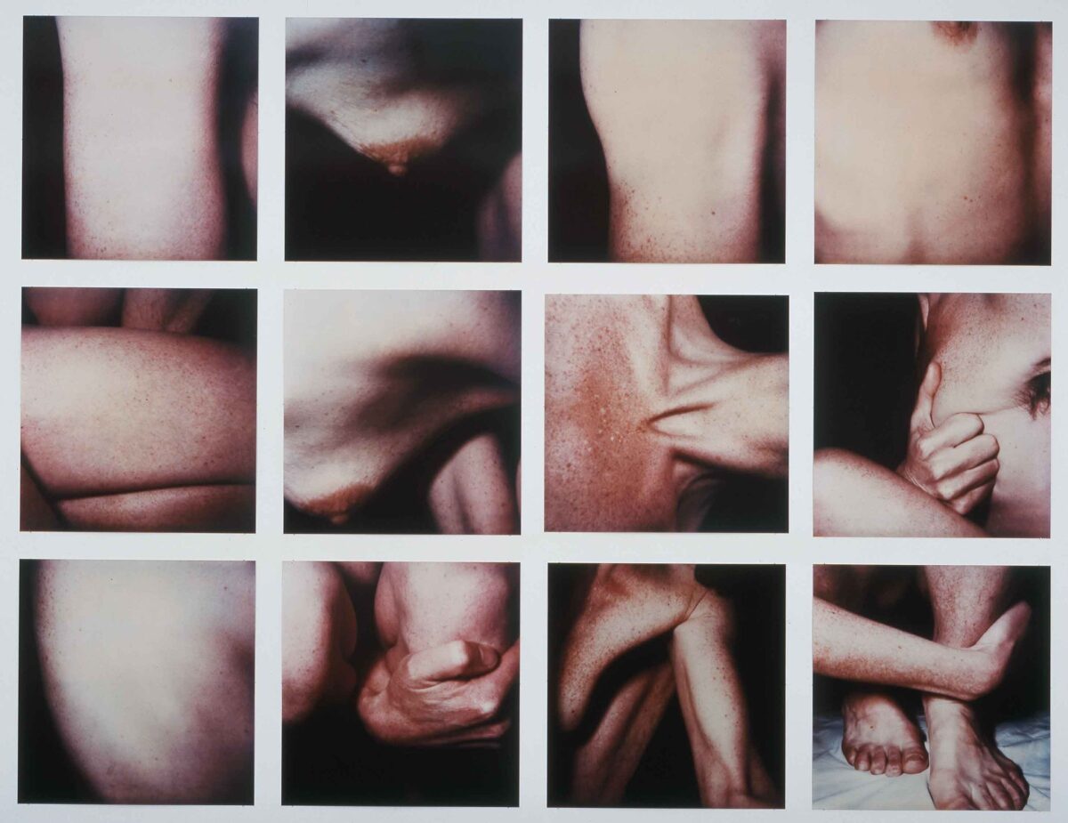 Hannah Villiger, Block I, 1988 