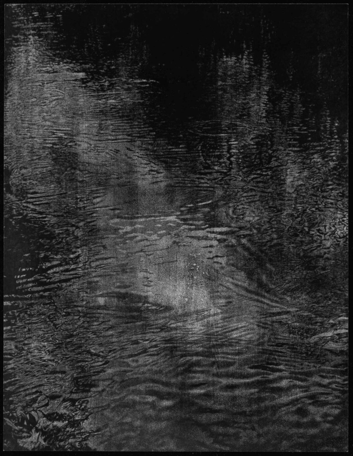 Franz Gertsch, Schwarzwasser, 1991 