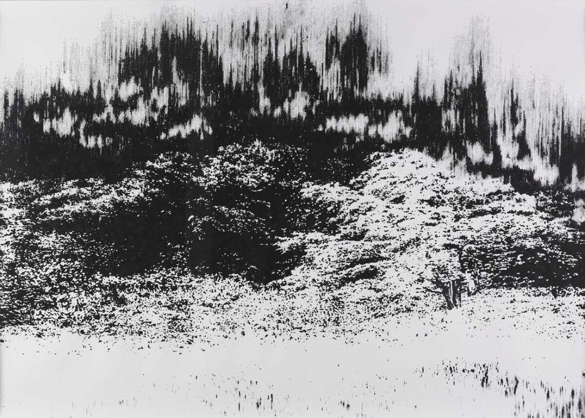 Franziska Furter, Gone again, 2007 