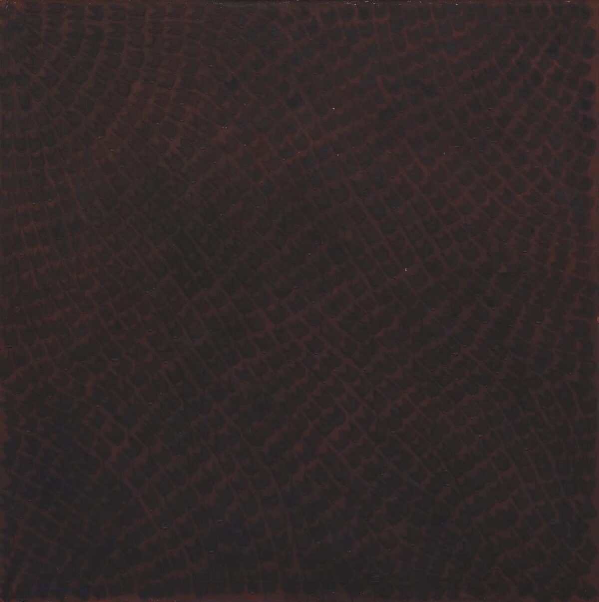 Gianfredo Camesi, Organisme spatiale, 1965 