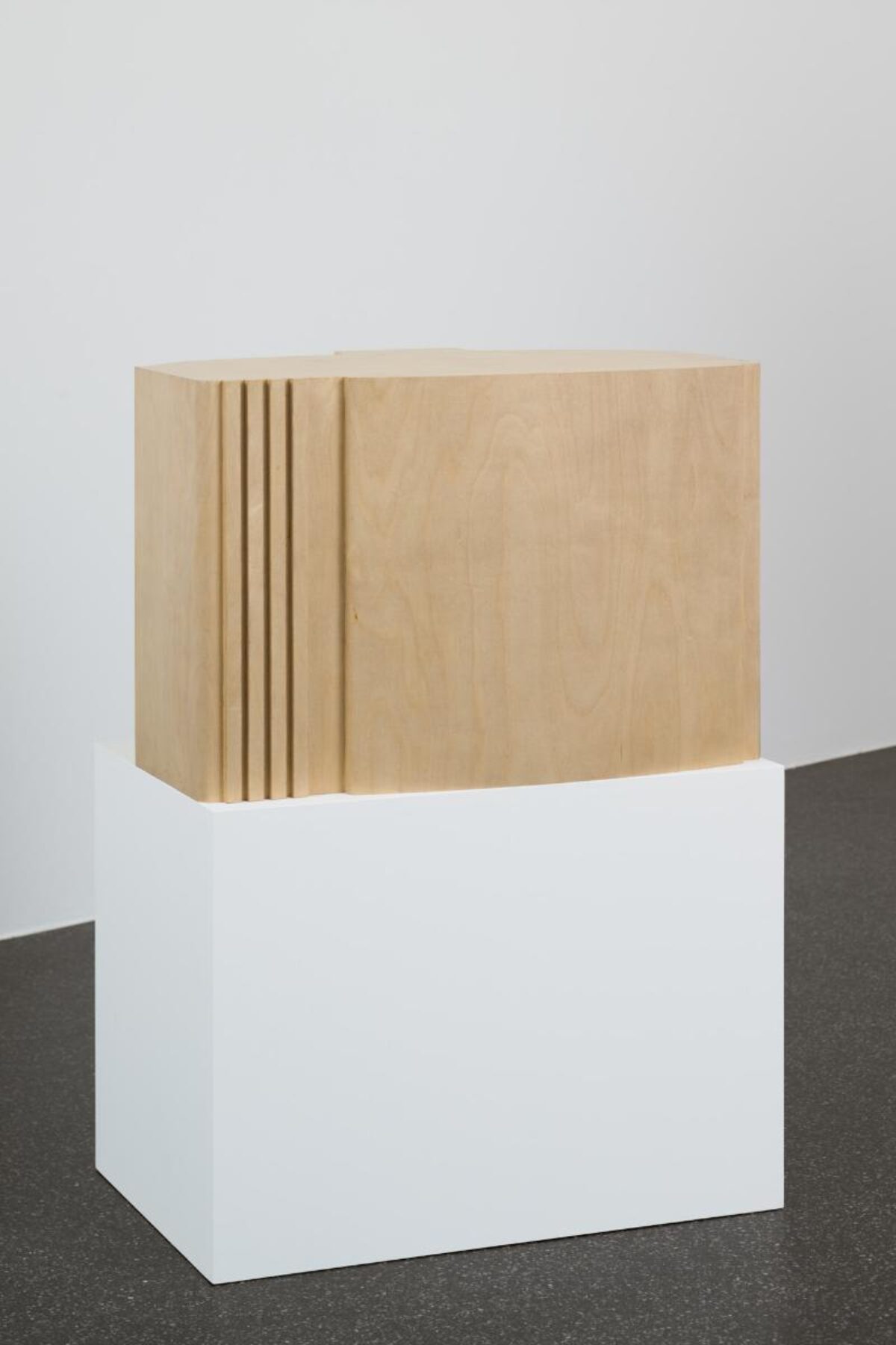 Dieter Wymann, TV, 1990/91 