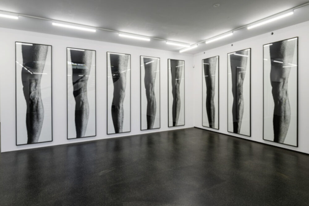 Ausstellungsansicht des Werks Les Jambes von Balthasar Burkhard, das grossformatige Fotografien von nackten Beinen zeigt.