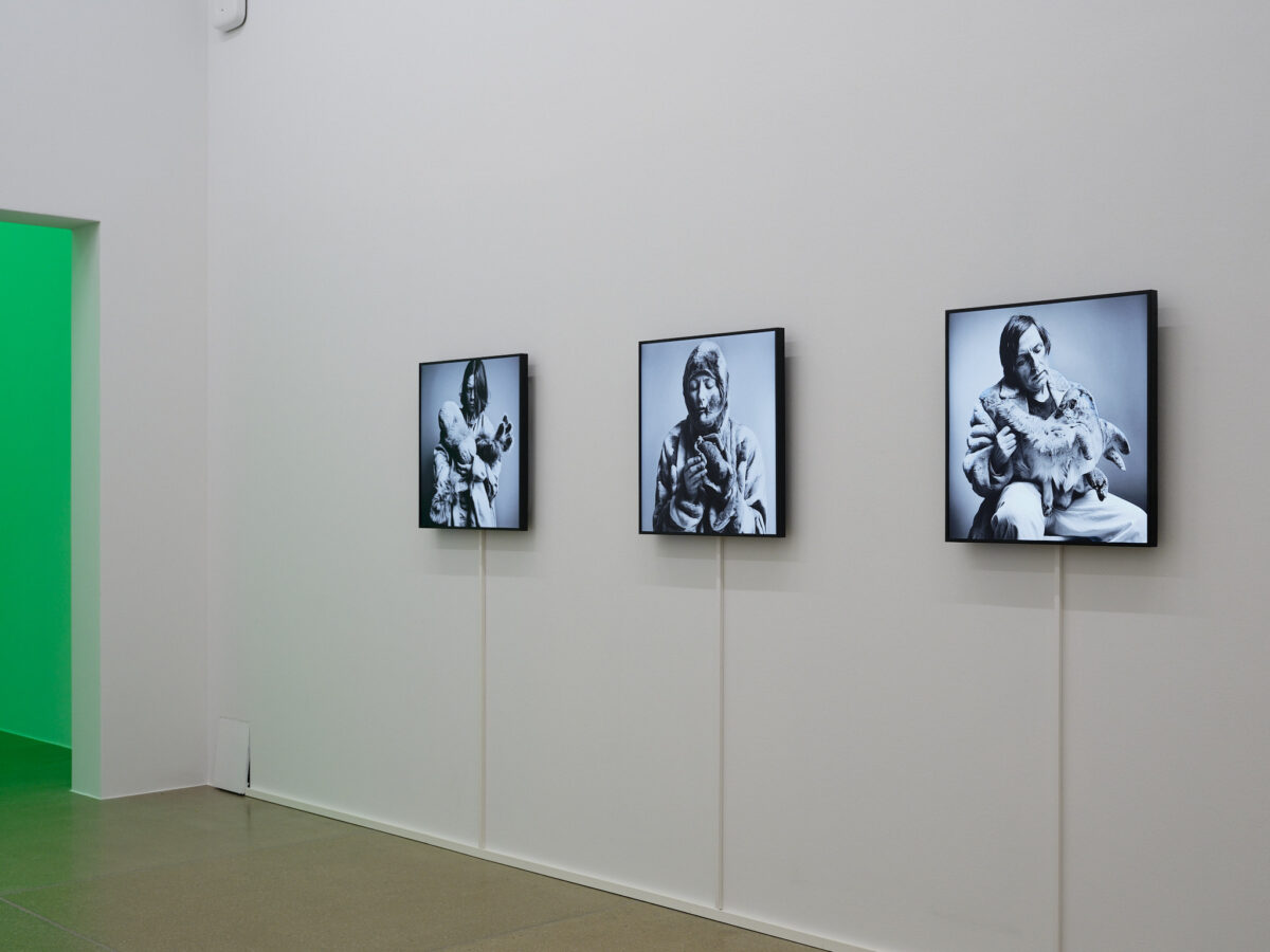 Ausstellungsansicht von verschiedenen Kunstwerken im Aargauer Kunsthaus.