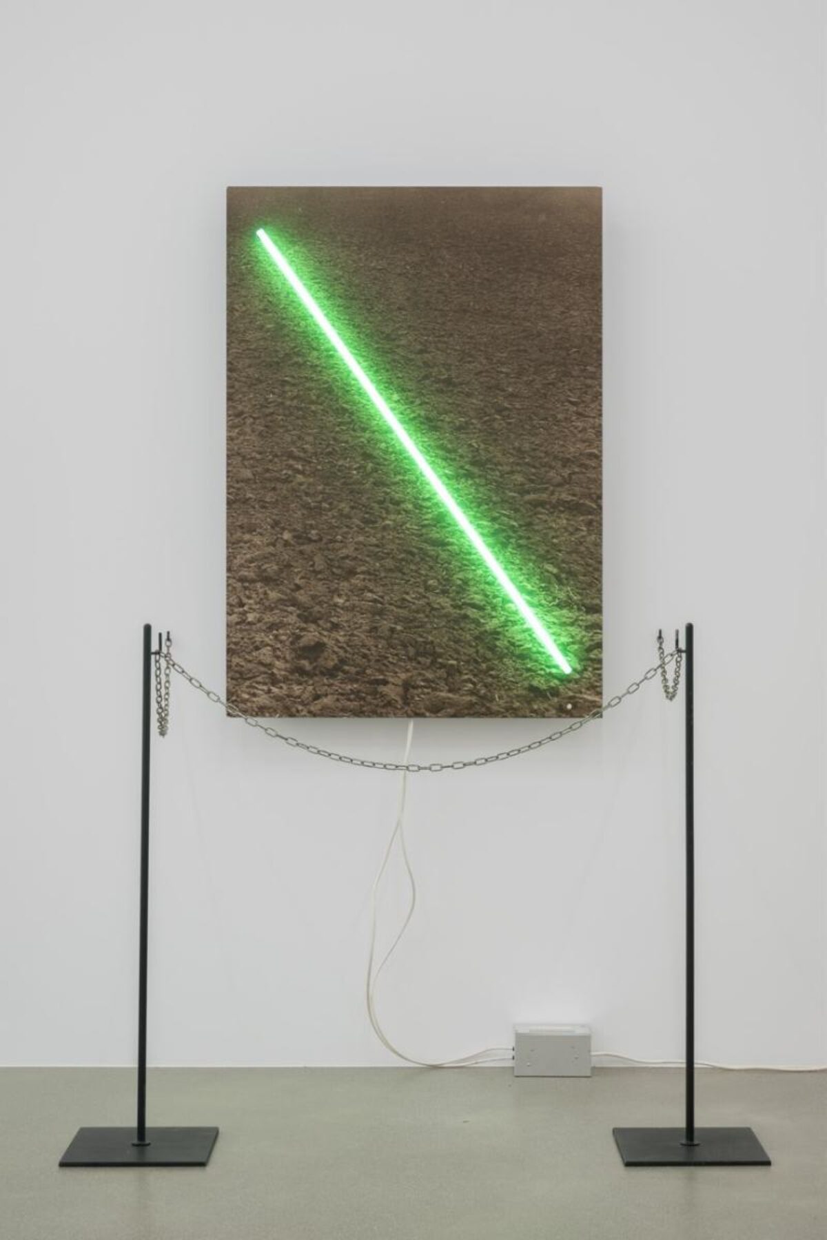Alfred Wey
Jean-Frédéric Schnyder
Balthasar Burkhard
Markus Raetz
Harald Szeemann, Live in Your Head – When Attitudes Become Form, 1970 