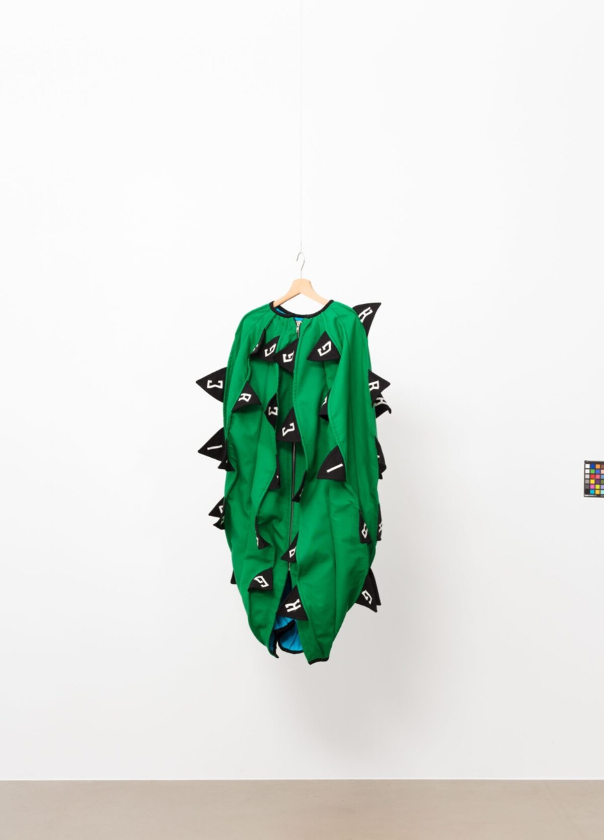 Rivane Neuenschwander, The Name of Fear/Aarau (Coronavirus/Krieg), 2020 
