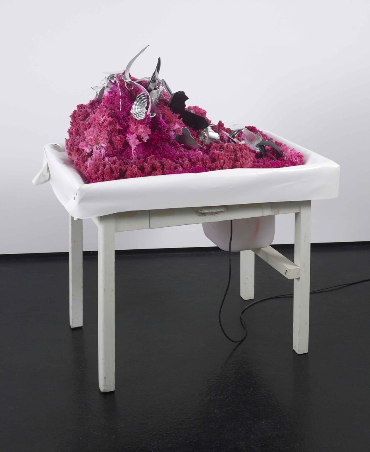Gerda Steiner
Jörg Lenzlinger, Bergunfall, 2005 