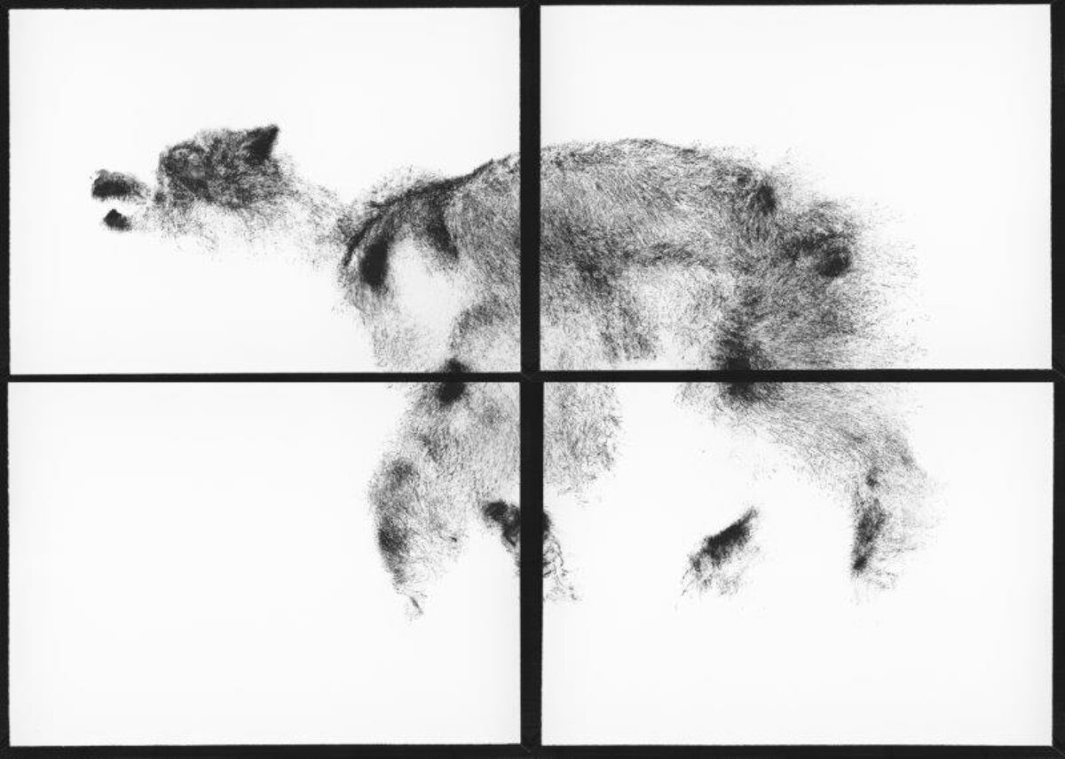 Michael Günzburger, Eisbär (aus der Serie 